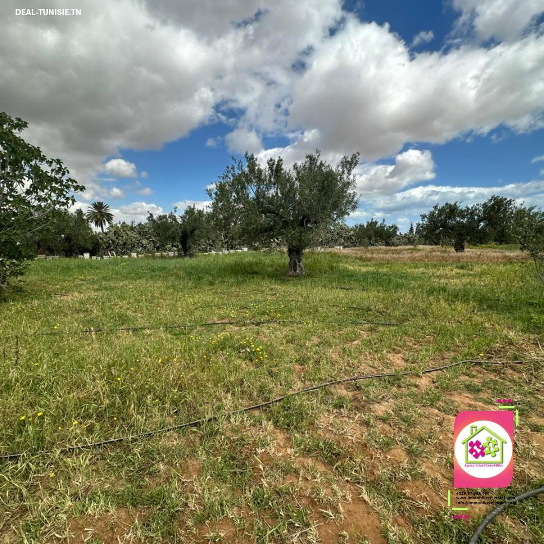 Image Annonce Deal-tunisie