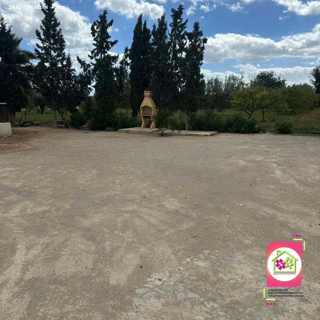Image Annonce Deal-tunisie