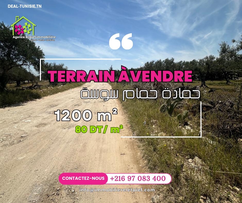 deal tunisie annonce