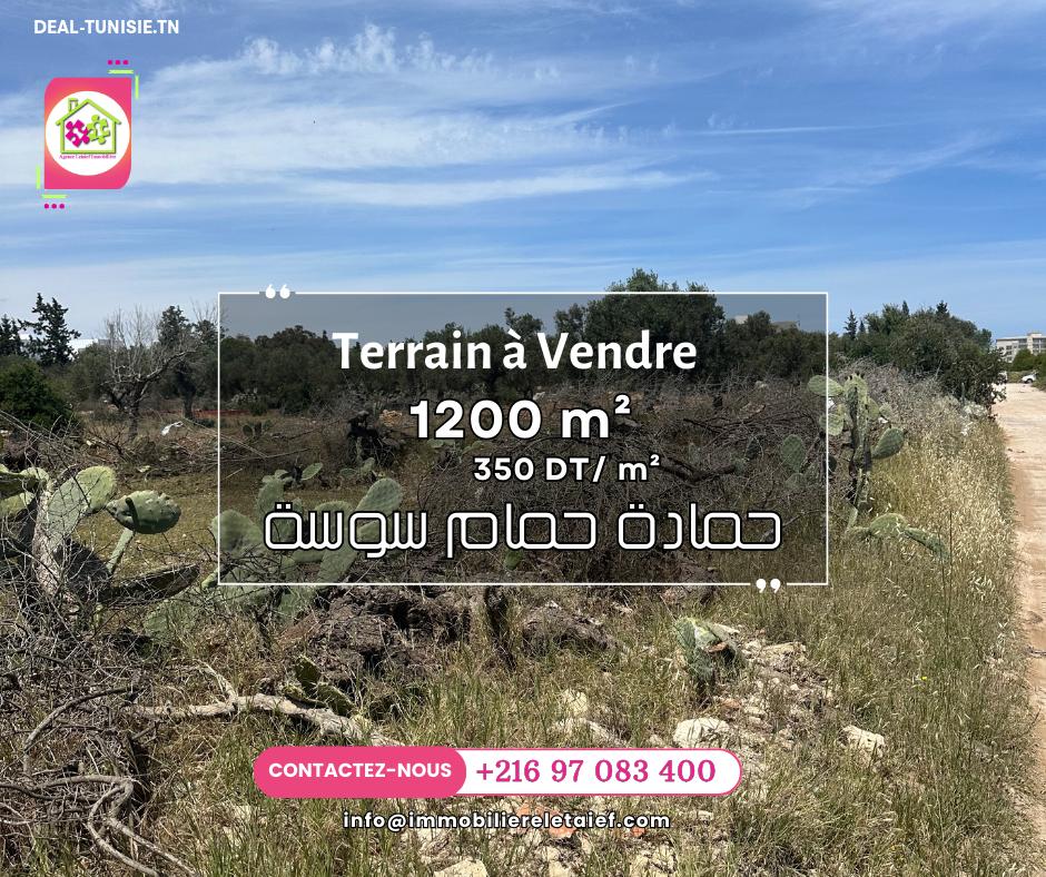 deal tunisie annonce