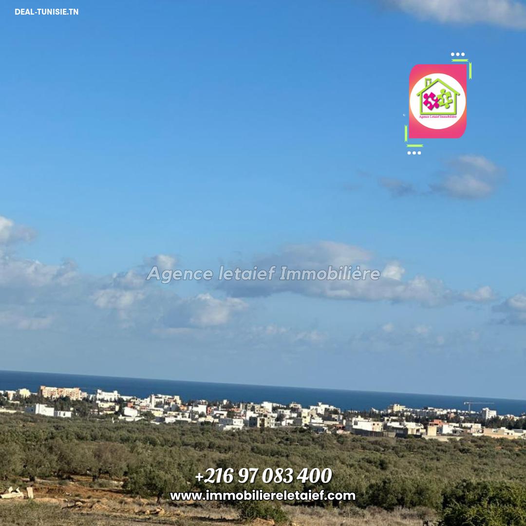 deal tunisie annonce