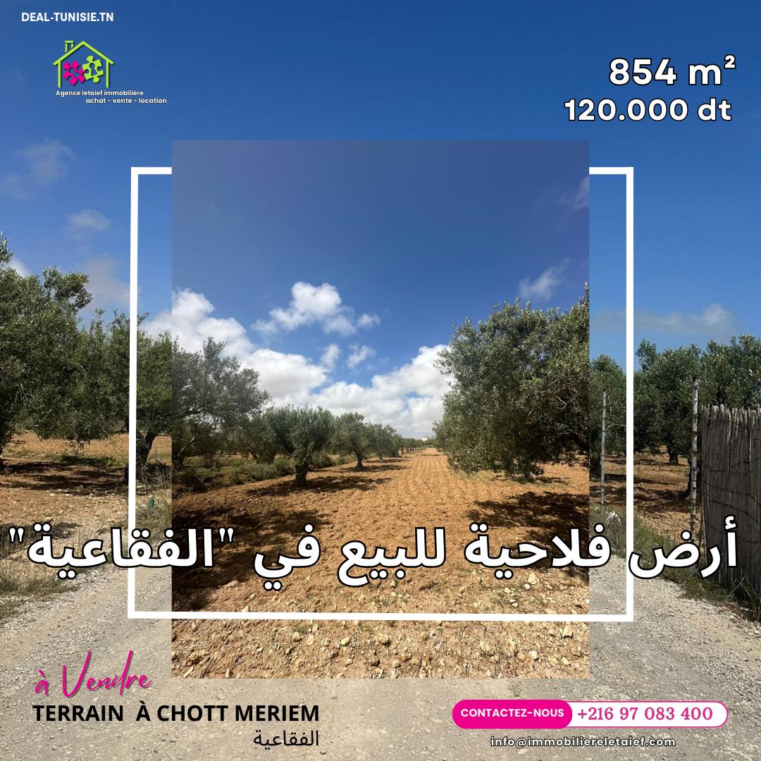 deal tunisie annonce