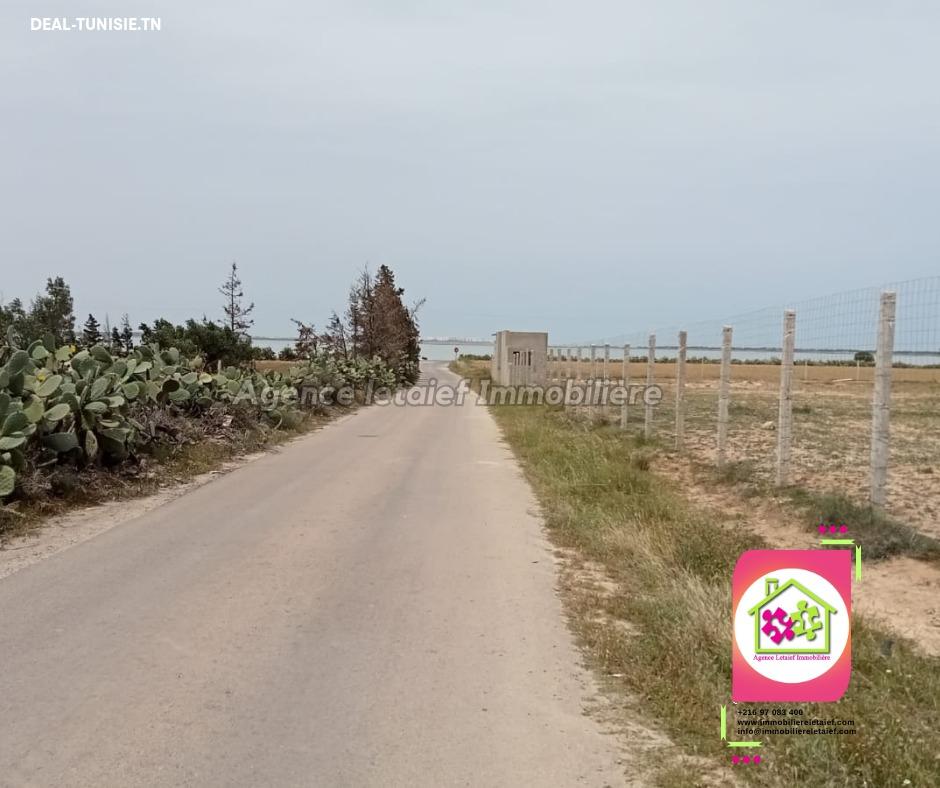 deal tunisie annonce