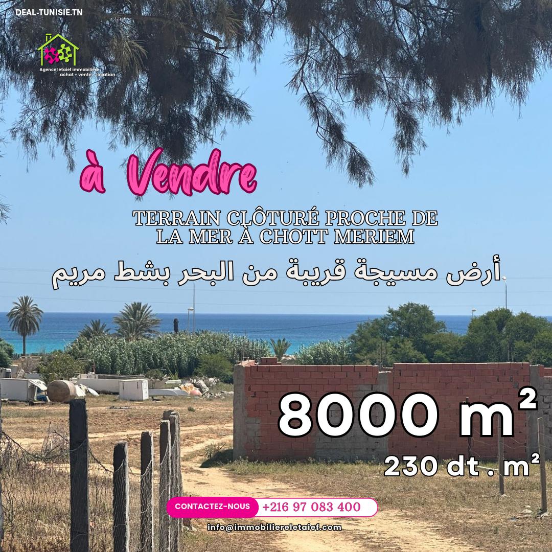 deal tunisie annonce