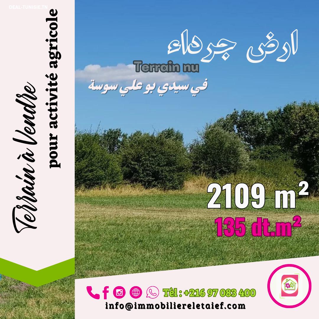 deal tunisie annonce