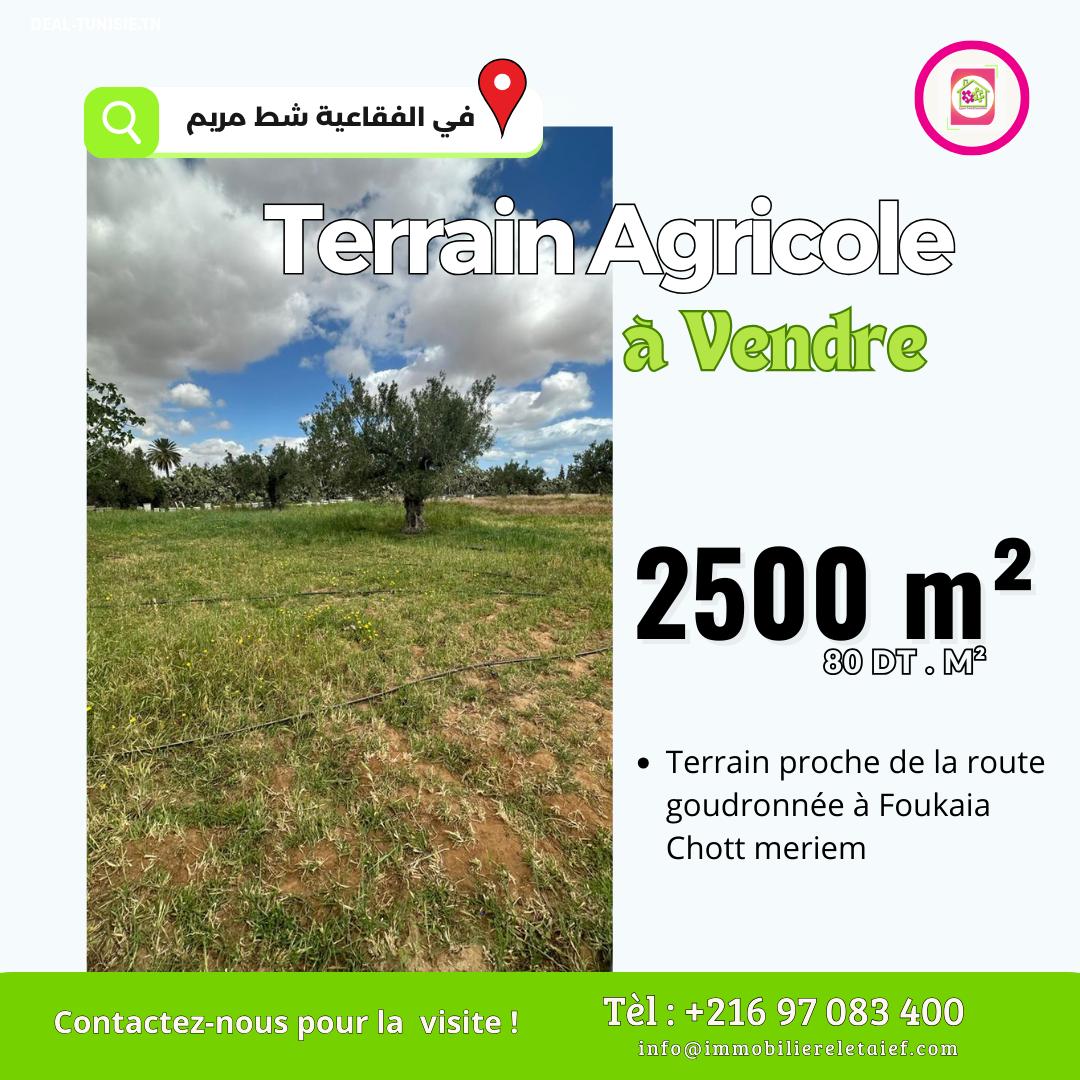 deal tunisie annonce