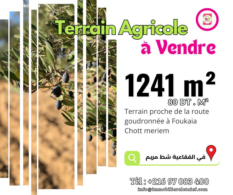 deal tunisie annonce