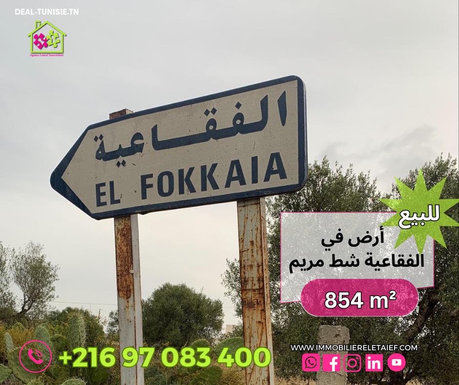 deal tunisie annonce