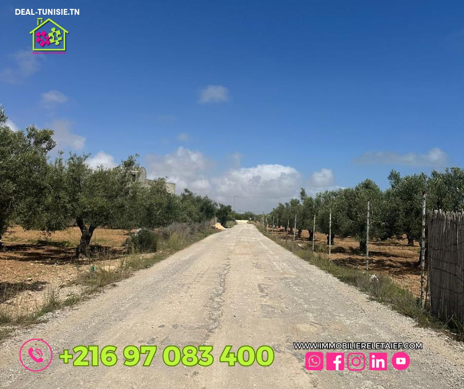 Image Annonce Deal-tunisie
