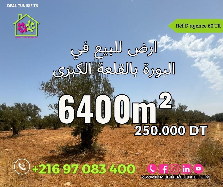 deal tunisie annonce
