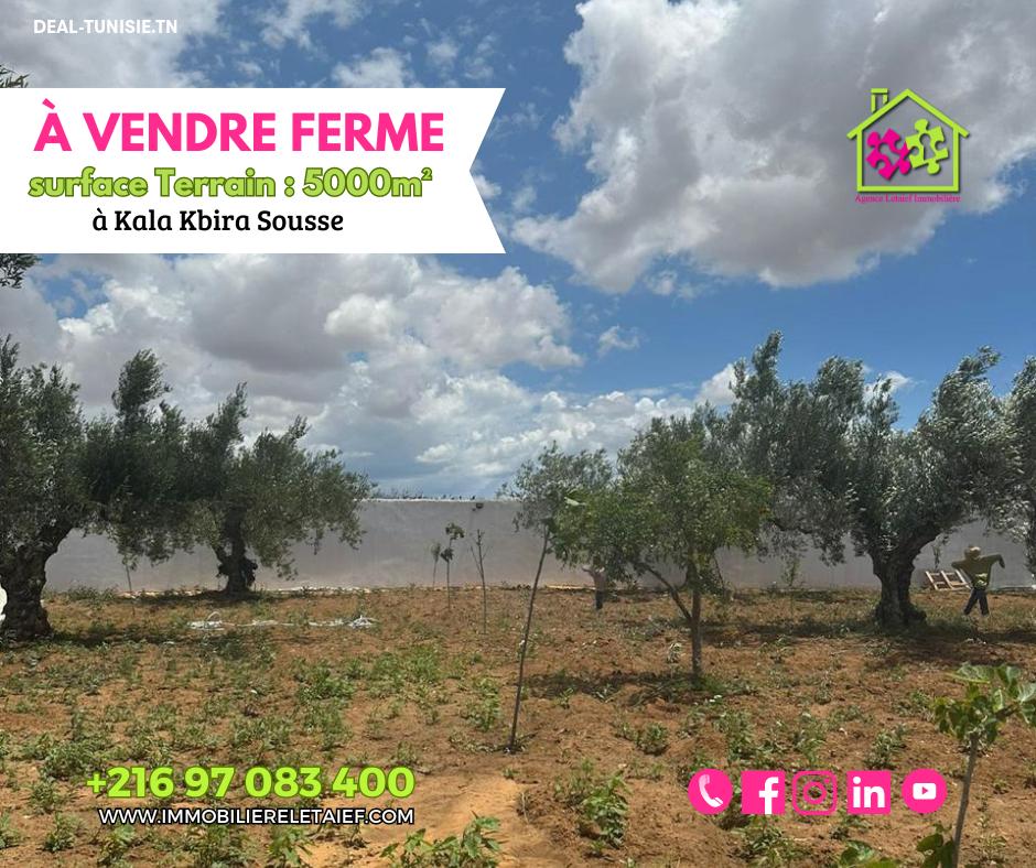 deal tunisie annonce