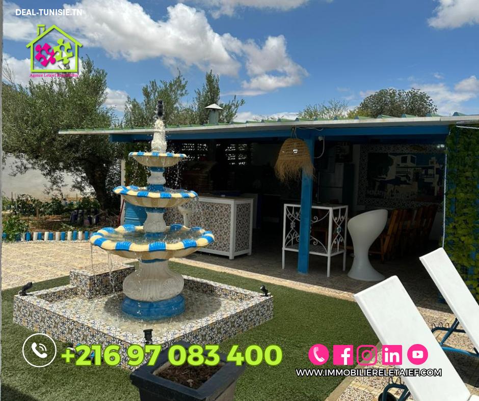 Image Annonce Deal-tunisie