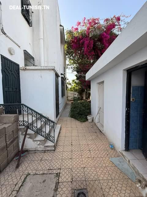 Image Annonce Deal-tunisie