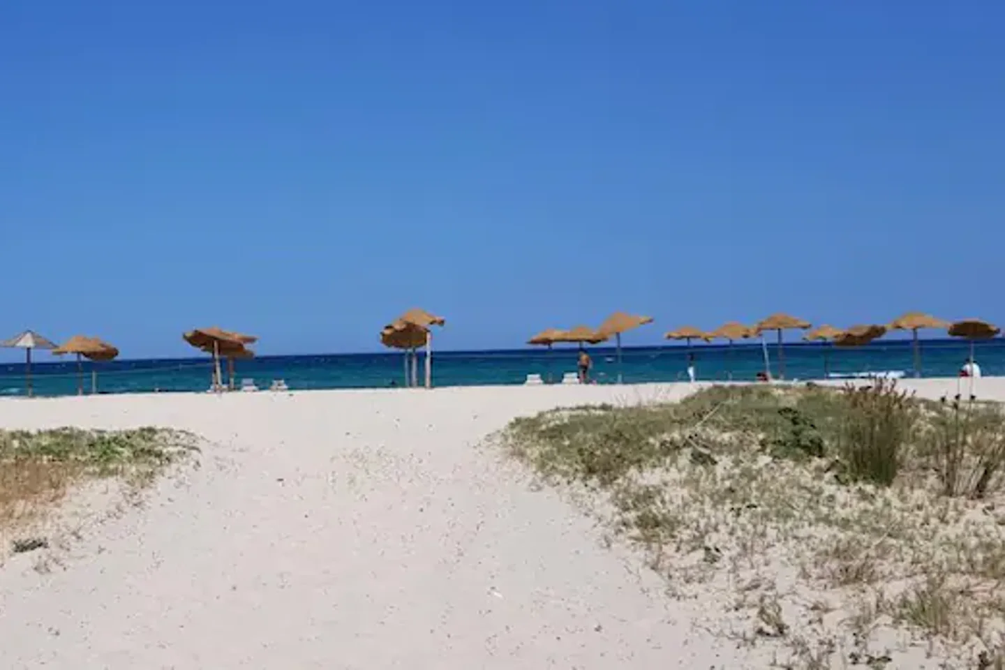 Image Annonce Deal-tunisie