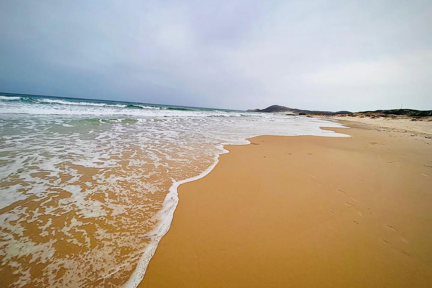 Image Annonce Deal-tunisie