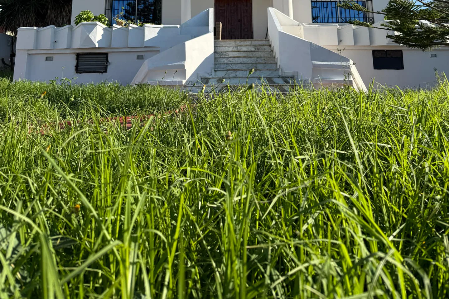 Image Annonce Deal-tunisie
