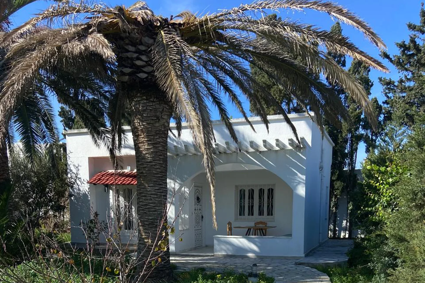 deal tunisie annonce