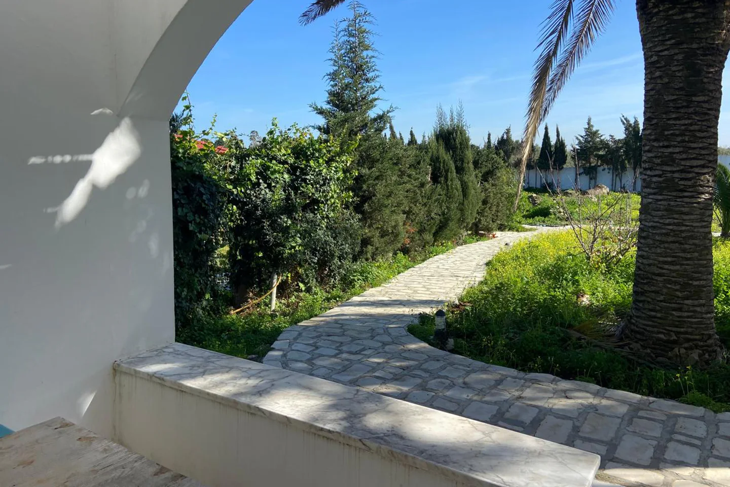 Image Annonce Deal-tunisie