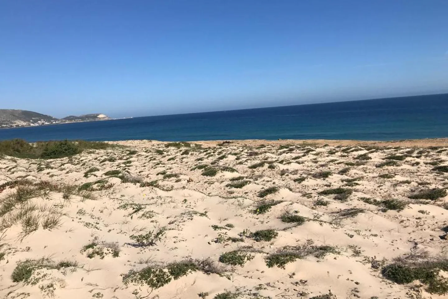 Image Annonce Deal-tunisie