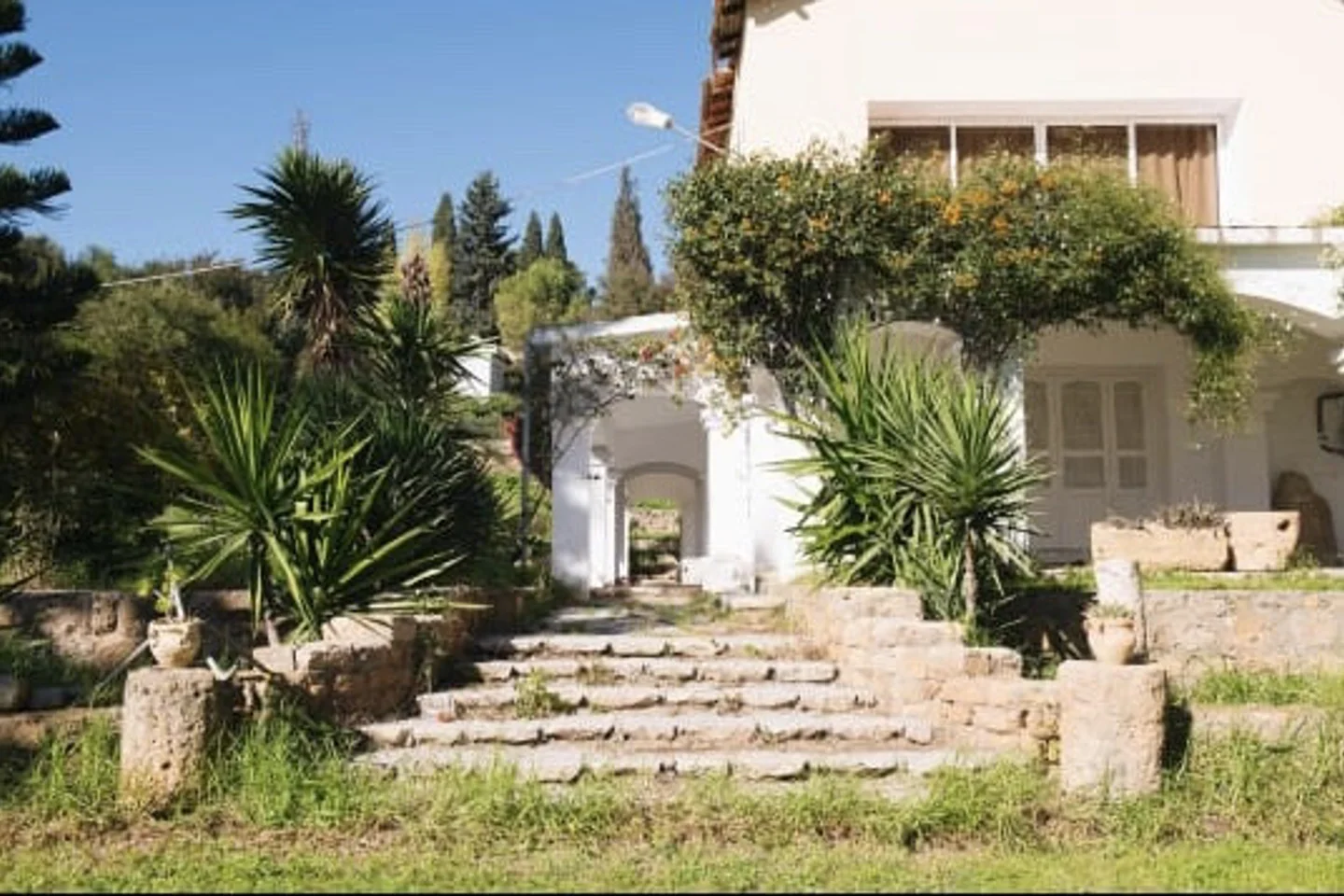 Image Annonce Deal-tunisie