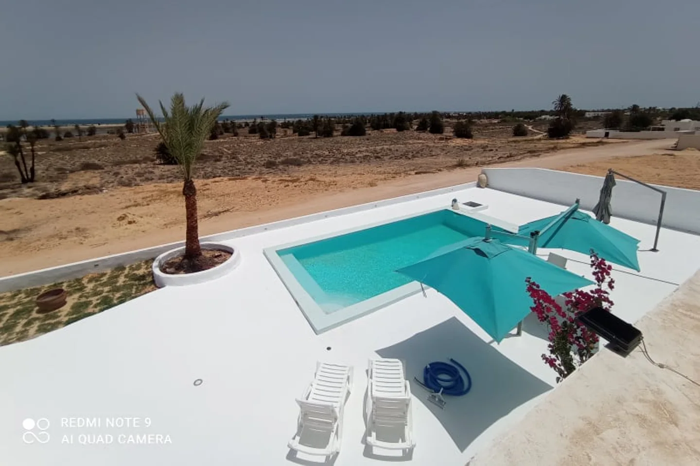 deal tunisie annonce