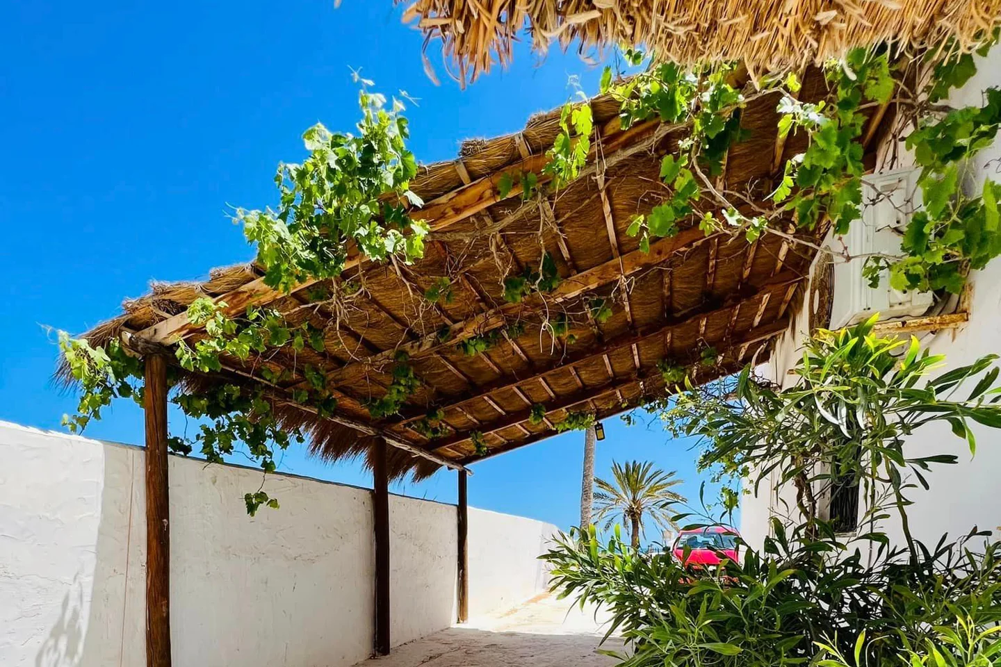 Image Annonce Deal-tunisie
