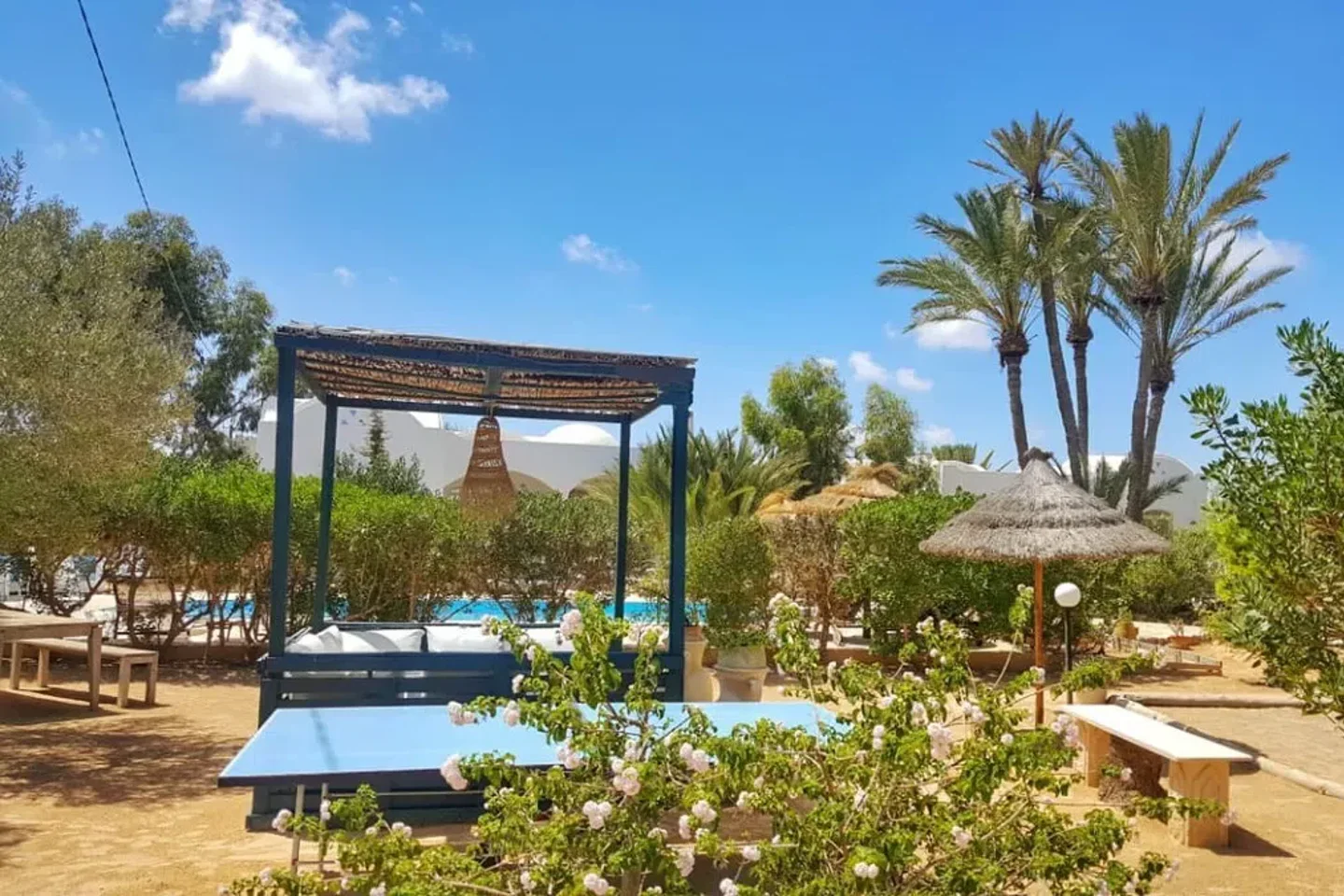 Image Annonce Deal-tunisie