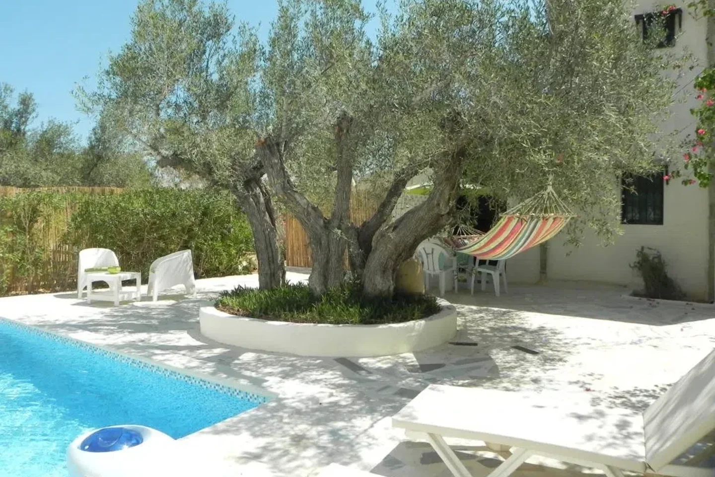 Image Annonce Deal-tunisie