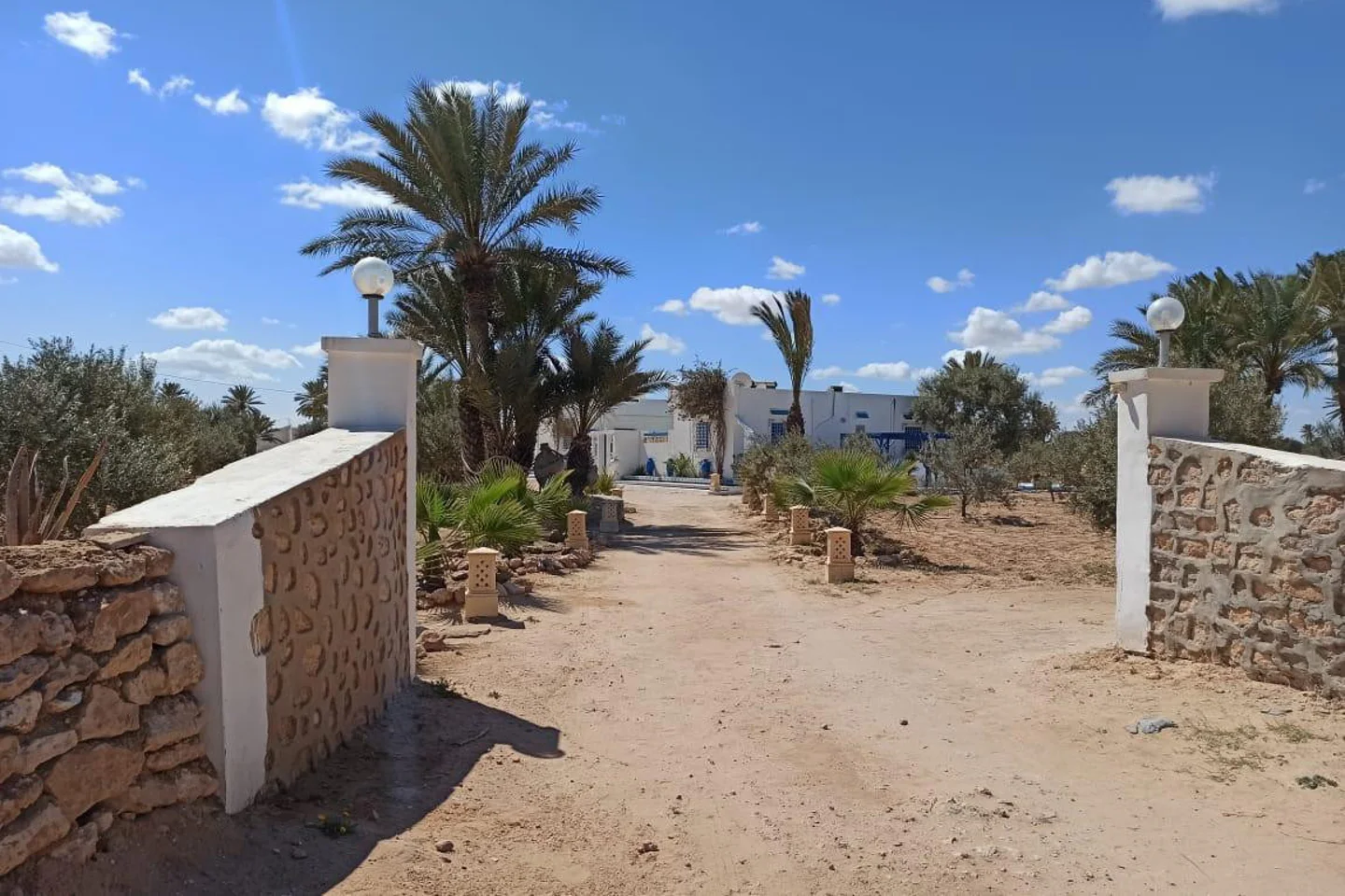 Image Annonce Deal-tunisie