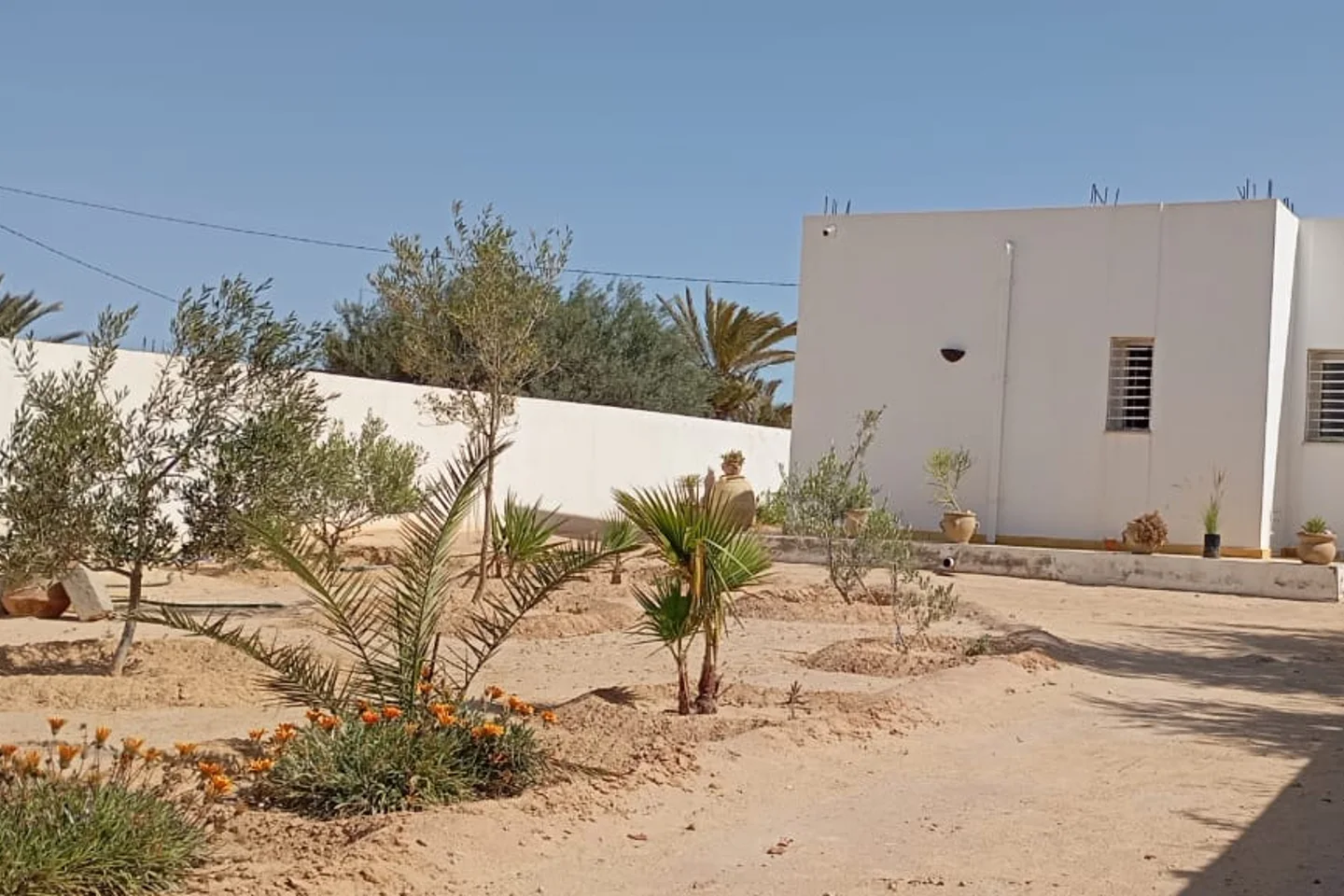Image Annonce Deal-tunisie
