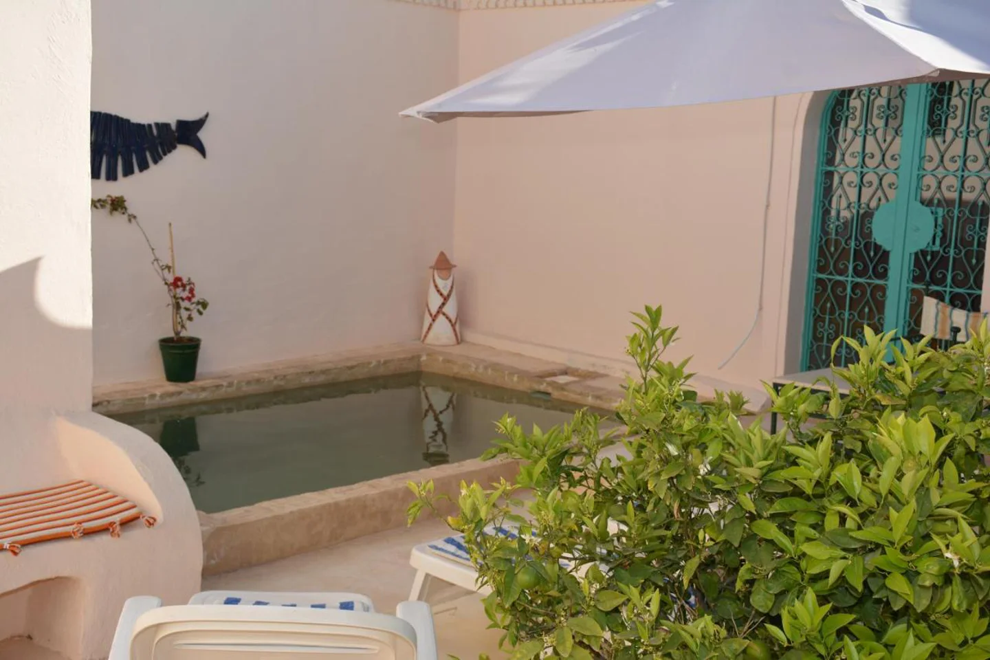 Image Annonce Deal-tunisie
