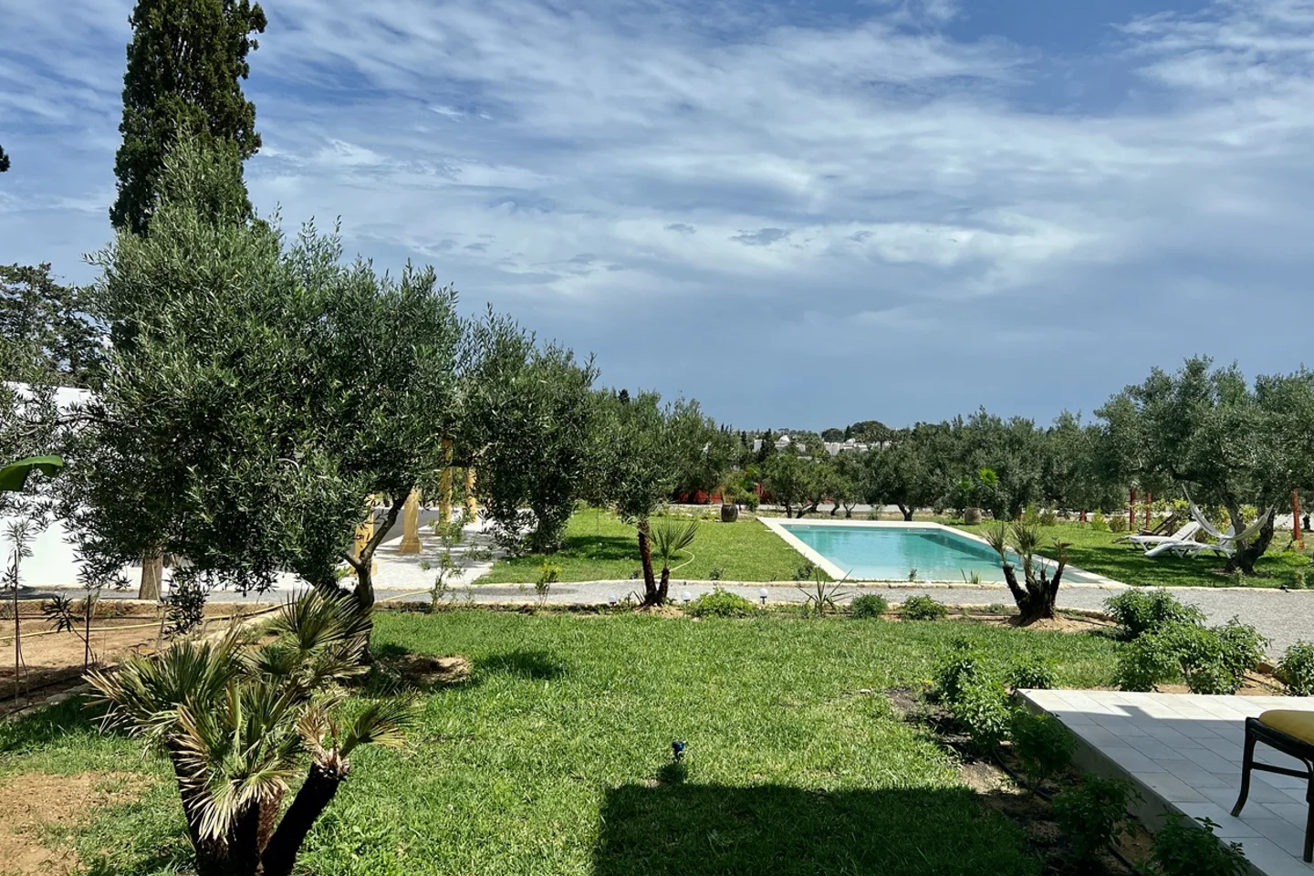 Image Annonce Deal-tunisie