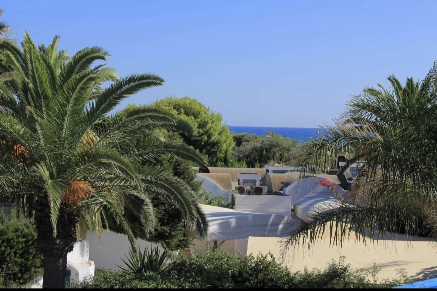 deal tunisie annonce