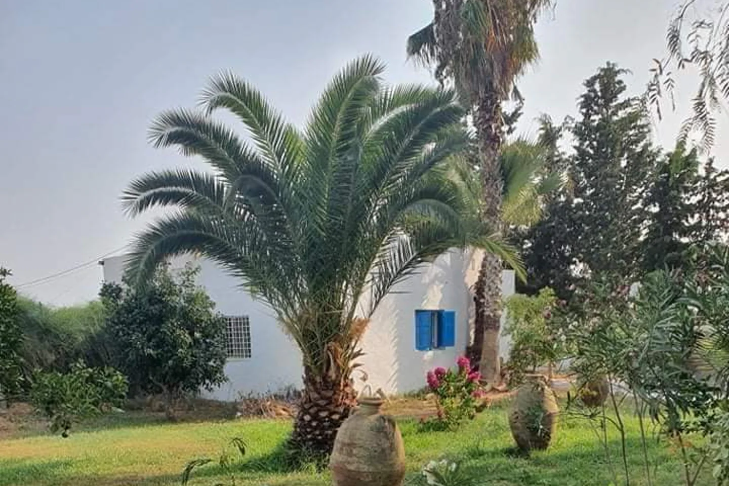 Image Annonce Deal-tunisie