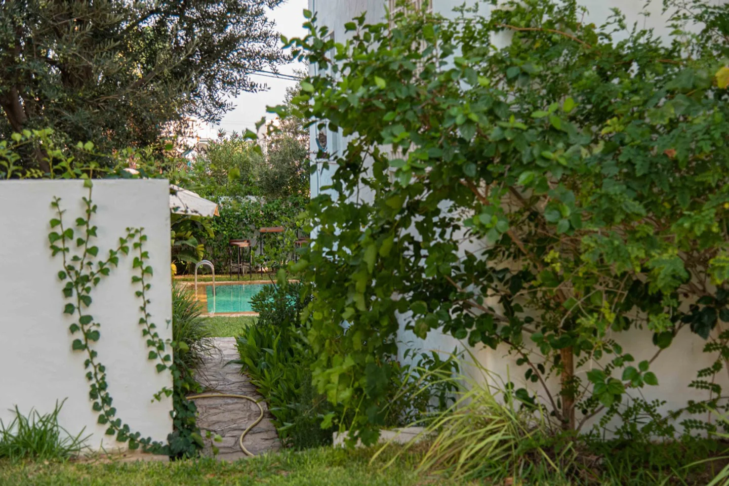 Image Annonce Deal-tunisie