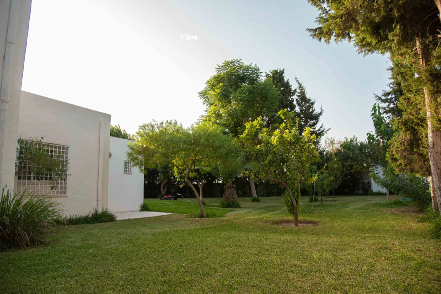 Image Annonce Deal-tunisie