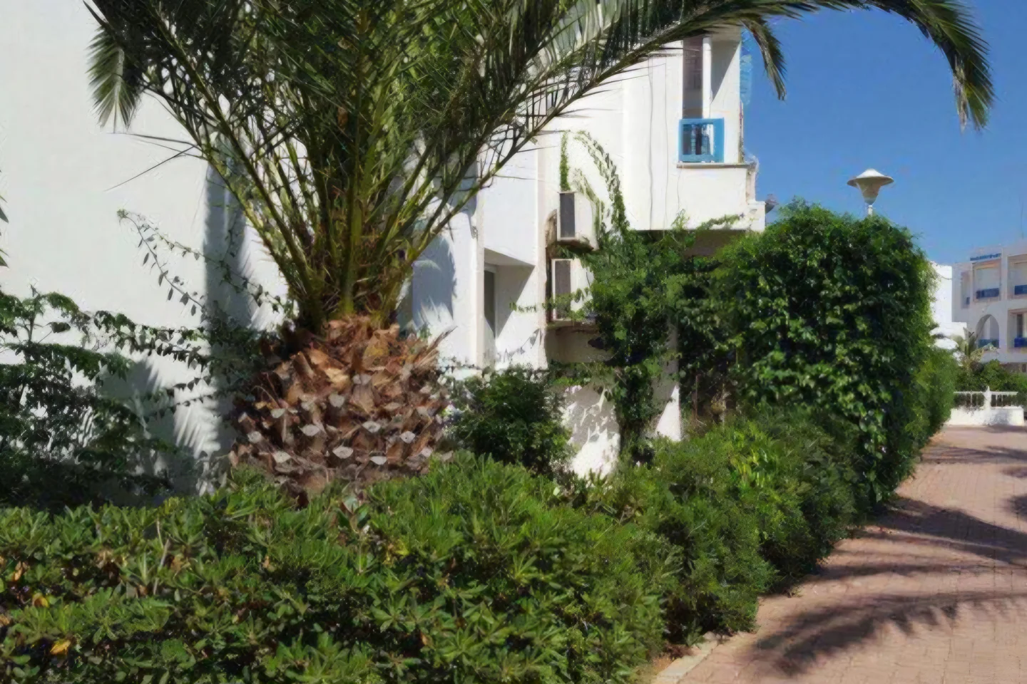 Image Annonce Deal-tunisie