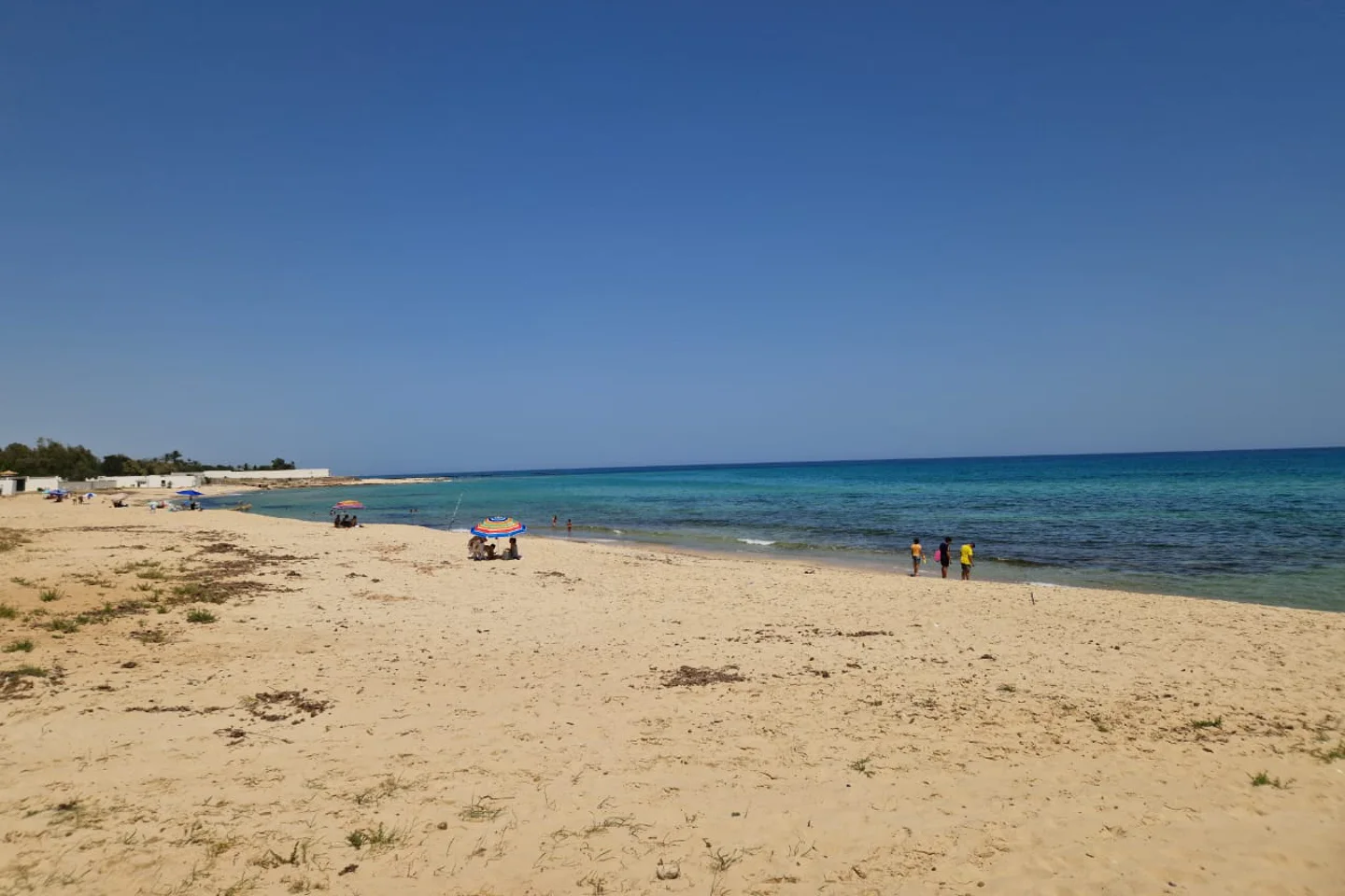 Image Annonce Deal-tunisie