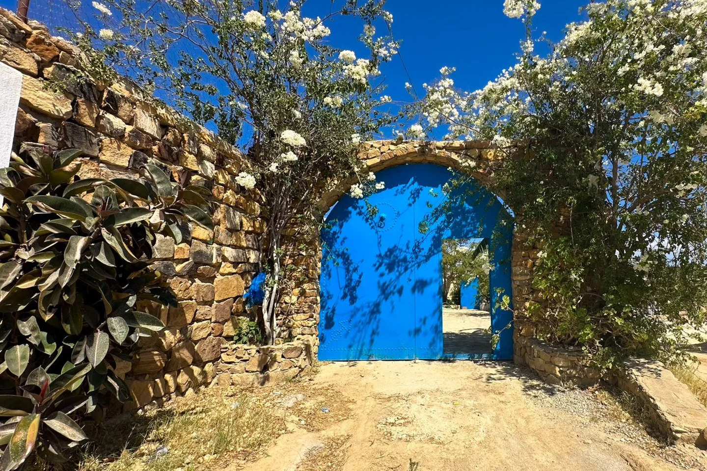 deal tunisie annonce