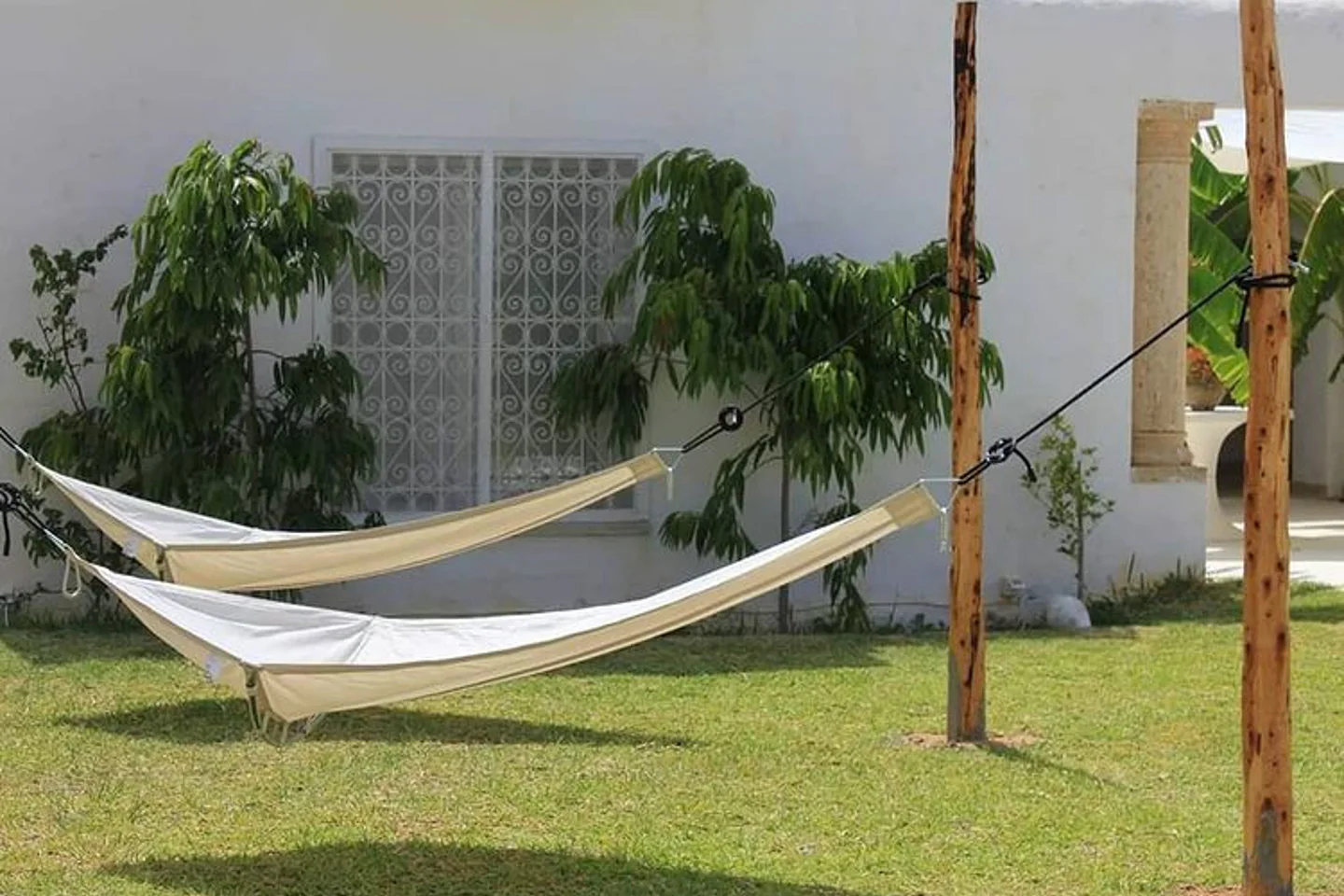 Image Annonce Deal-tunisie