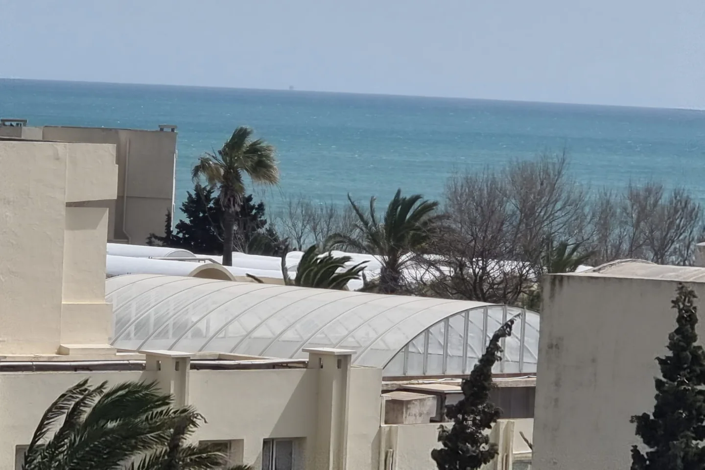 deal tunisie annonce