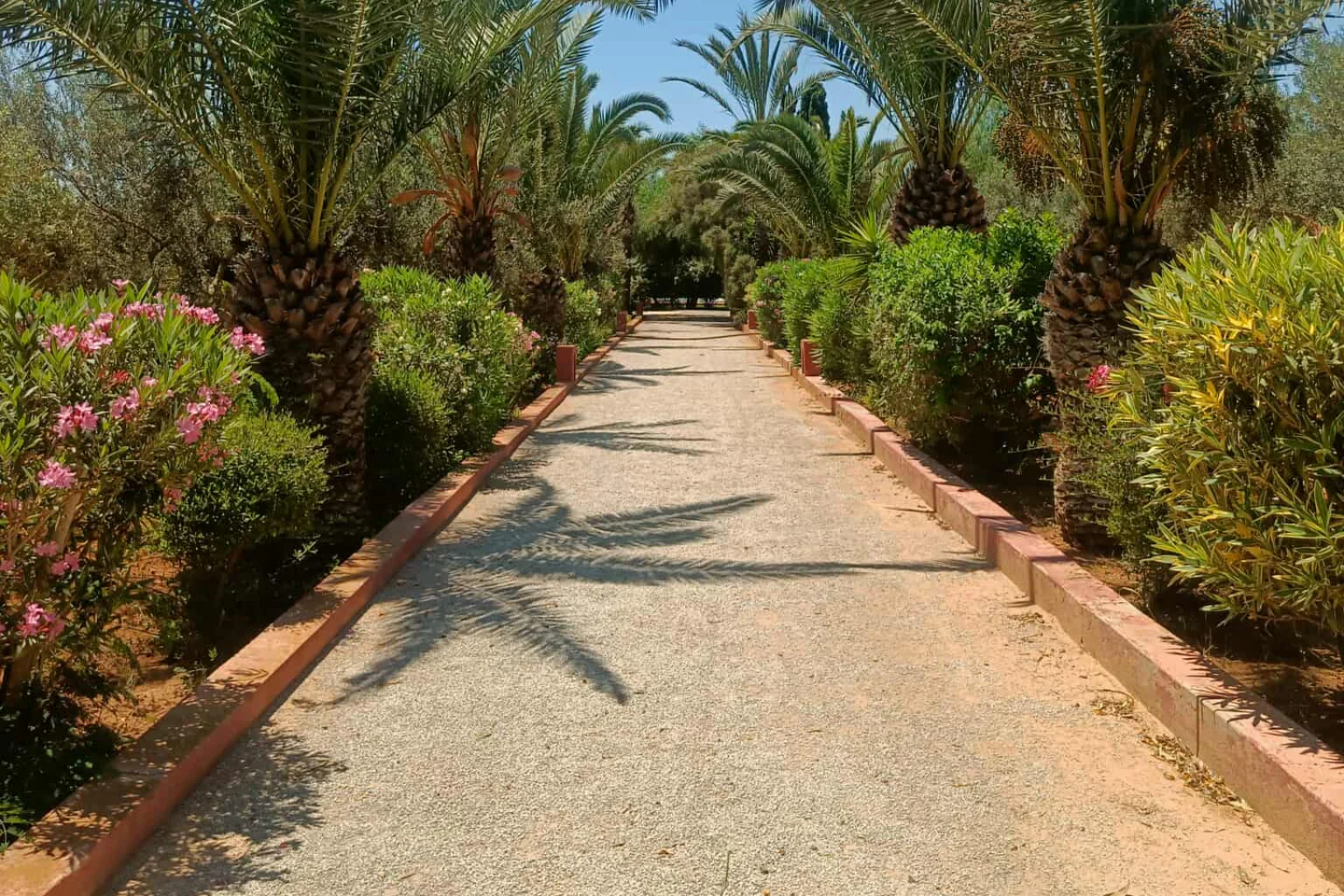 Image Annonce Deal-tunisie