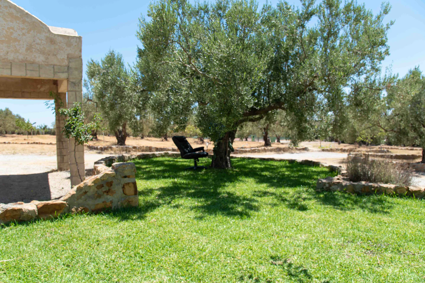 Image Annonce Deal-tunisie