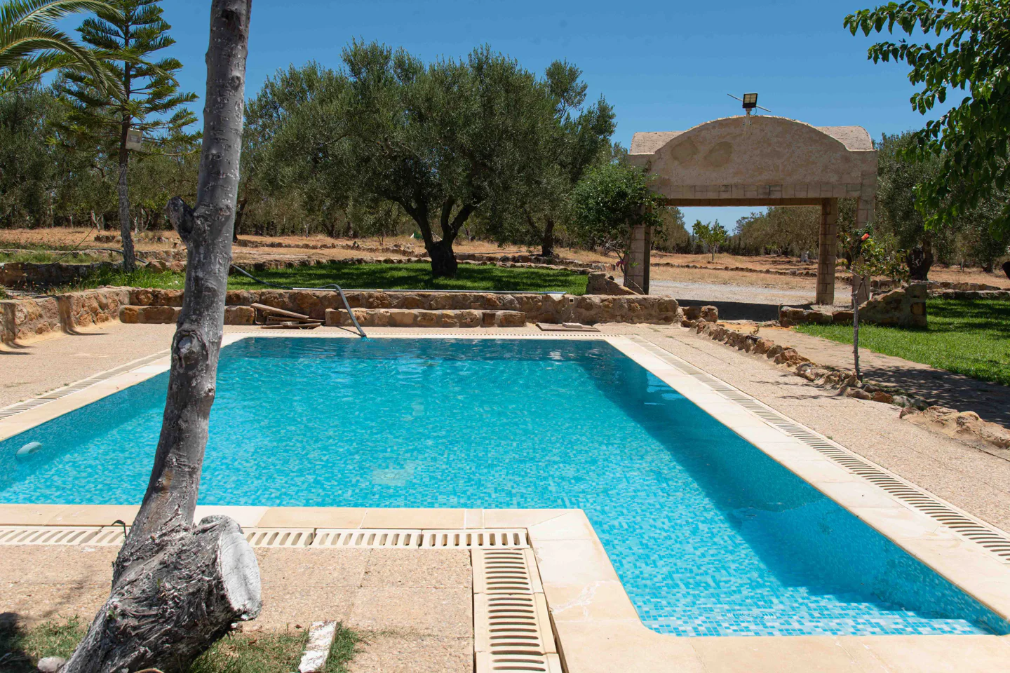 Image Annonce Deal-tunisie