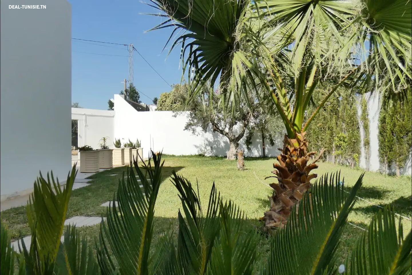Image Annonce Deal-tunisie