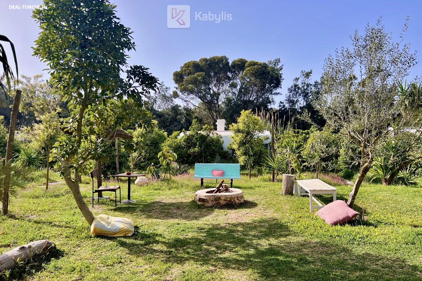 Image Annonce Deal-tunisie
