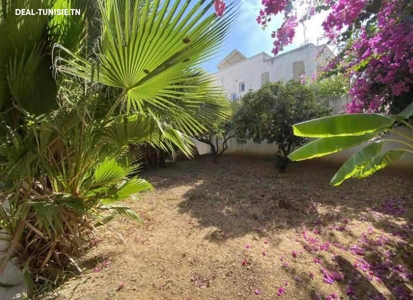 Image Annonce Deal-tunisie