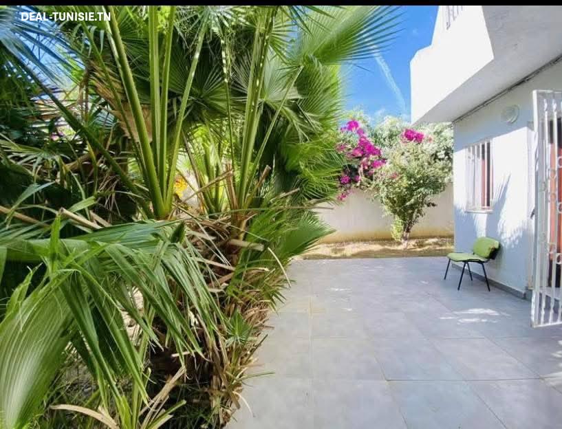 Image Annonce Deal-tunisie