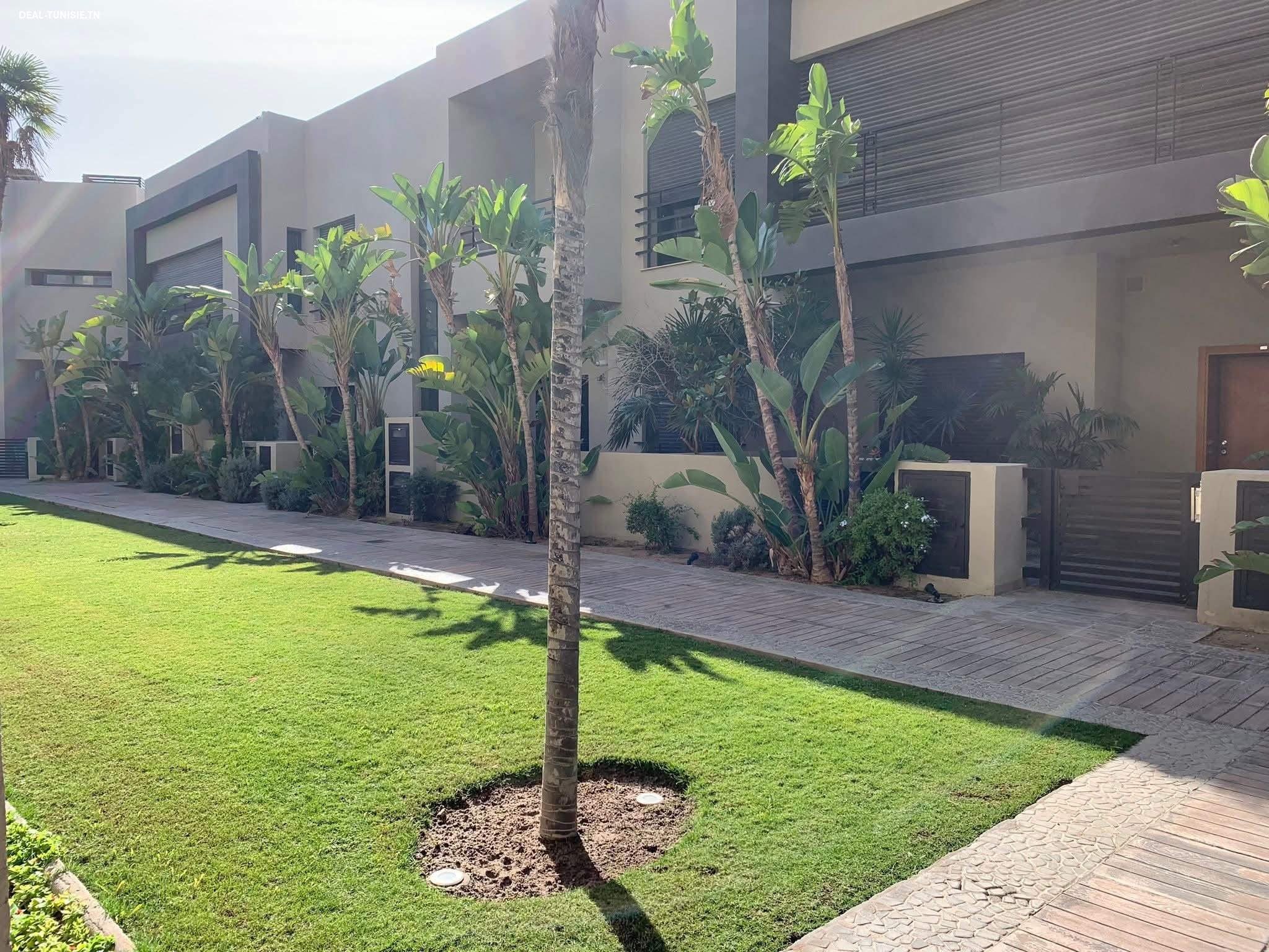 deal tunisie annonce