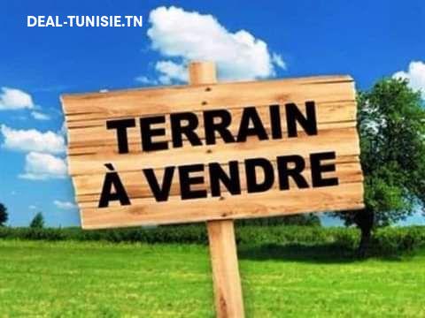 deal tunisie annonce